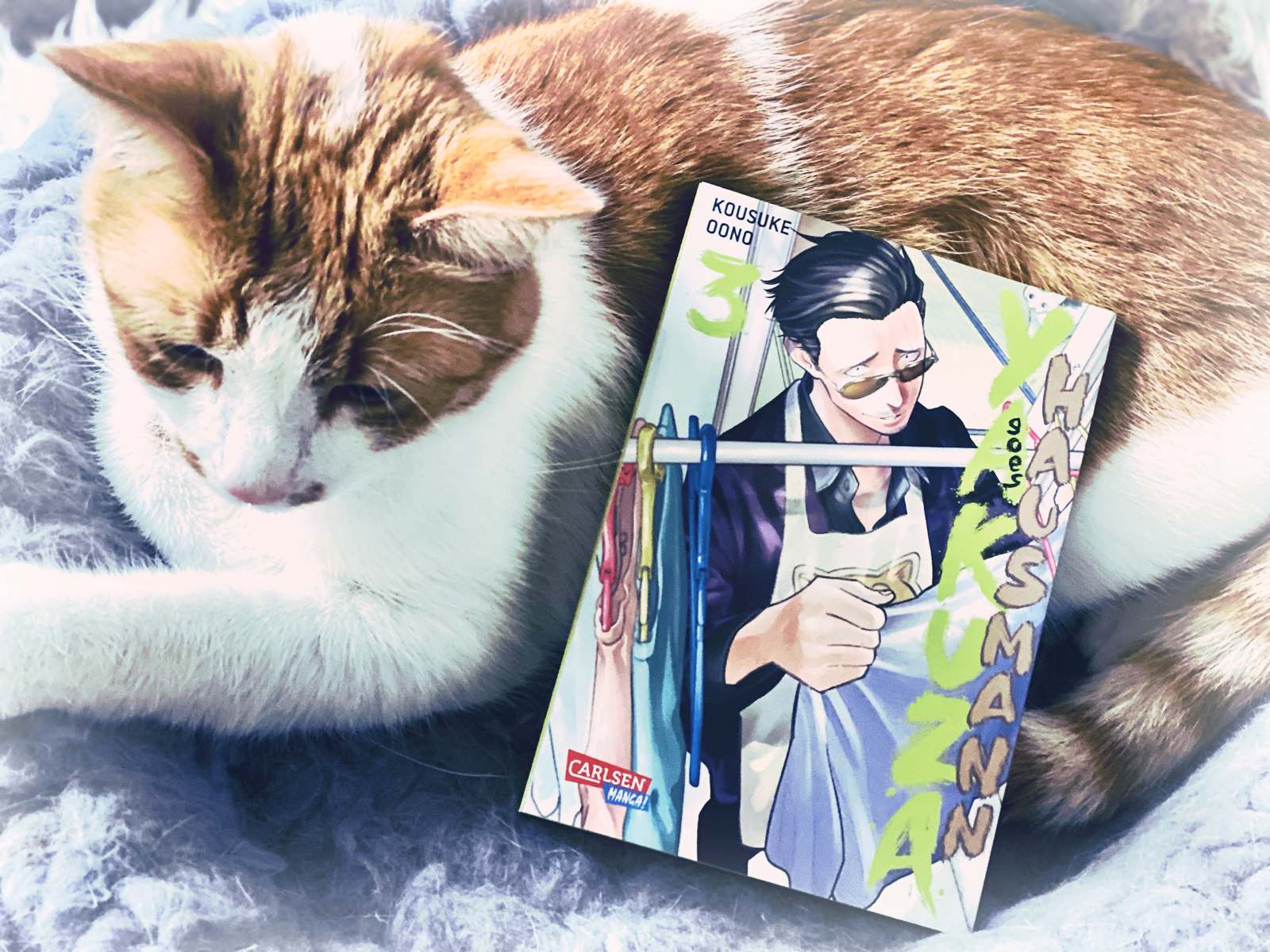My Pet Is A Yakuza Manga Manga] Yakuza goes Hausmann [3] - Vincisblog